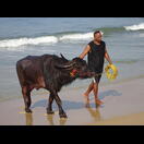 Irgendwann endet jeder Badespaß